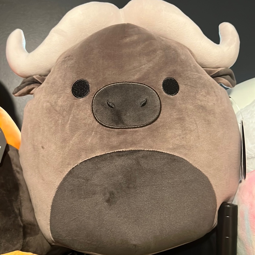 Boden the Buffalo Select Series